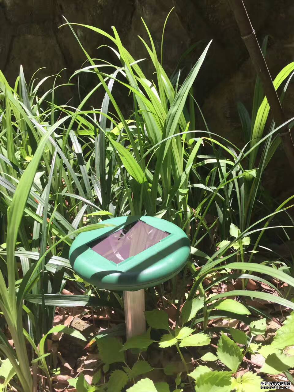 三臺(tái)山莊驅(qū)蛇器的應(yīng)用(圖1)