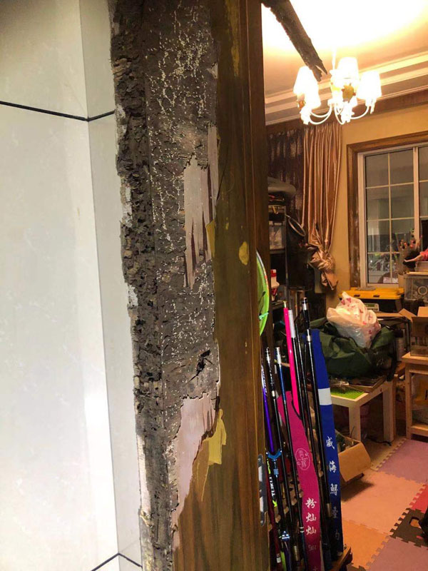 滅白蟻現(xiàn)場(chǎng)(圖5)